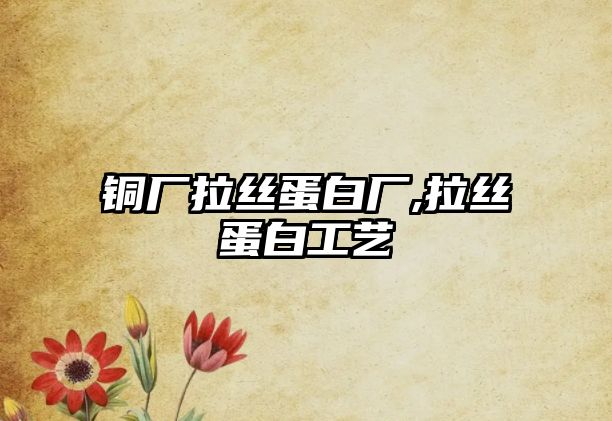 銅廠拉絲蛋白廠,拉絲蛋白工藝