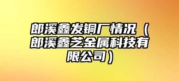 郎溪鑫發(fā)銅廠情況（郎溪鑫芝金屬科技有限公司）