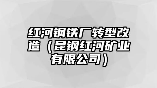 紅河鋼鐵廠轉(zhuǎn)型改造（昆鋼紅河礦業(yè)有限公司）