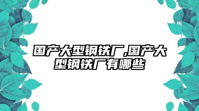 國產大型鋼鐵廠,國產大型鋼鐵廠有哪些