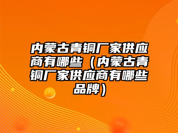 內蒙古青銅廠家供應商有哪些（內蒙古青銅廠家供應商有哪些品牌）