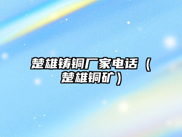 楚雄鑄銅廠家電話（楚雄銅礦）