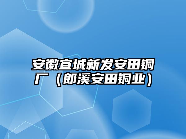 安徽宣城新發(fā)安田銅廠（郎溪安田銅業(yè)）