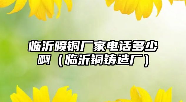 臨沂噴銅廠家電話多少?。ㄅR沂銅鑄造廠）