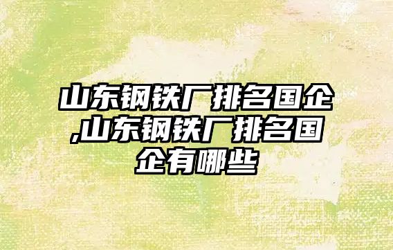 山東鋼鐵廠排名國企,山東鋼鐵廠排名國企有哪些