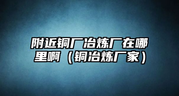 附近銅廠冶煉廠在哪里啊（銅冶煉廠家）