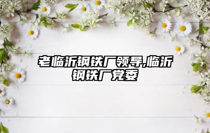 老臨沂鋼鐵廠領(lǐng)導(dǎo),臨沂鋼鐵廠黨委