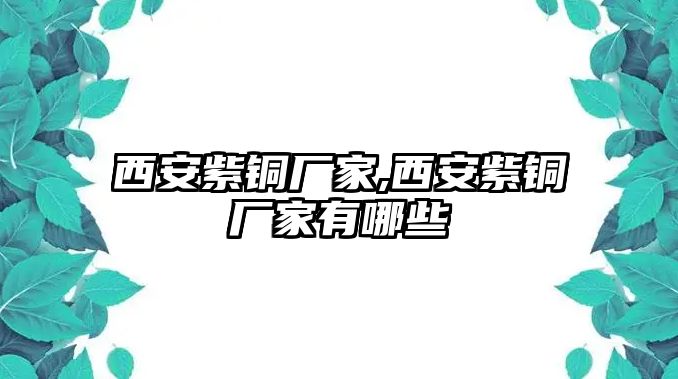 西安紫銅廠家,西安紫銅廠家有哪些