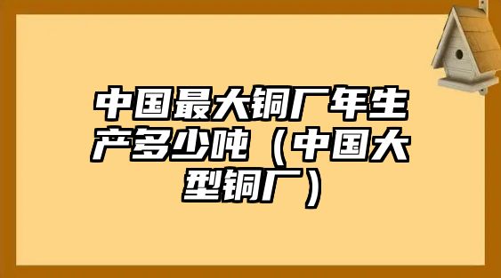 中國最大銅廠年生產(chǎn)多少噸（中國大型銅廠）