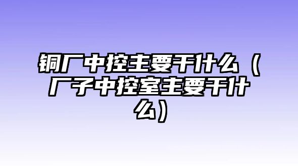 銅廠中控主要干什么（廠子中控室主要干什么）