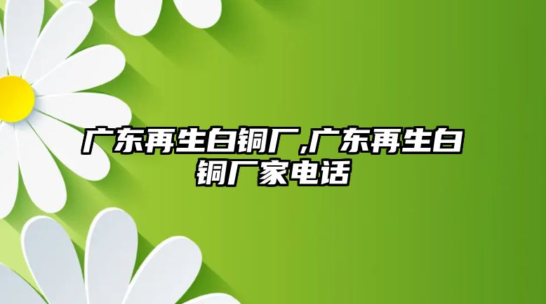 廣東再生白銅廠,廣東再生白銅廠家電話