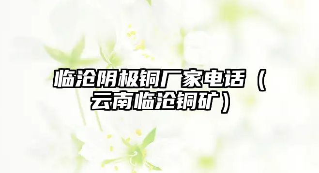 臨滄陰極銅廠家電話（云南臨滄銅礦）