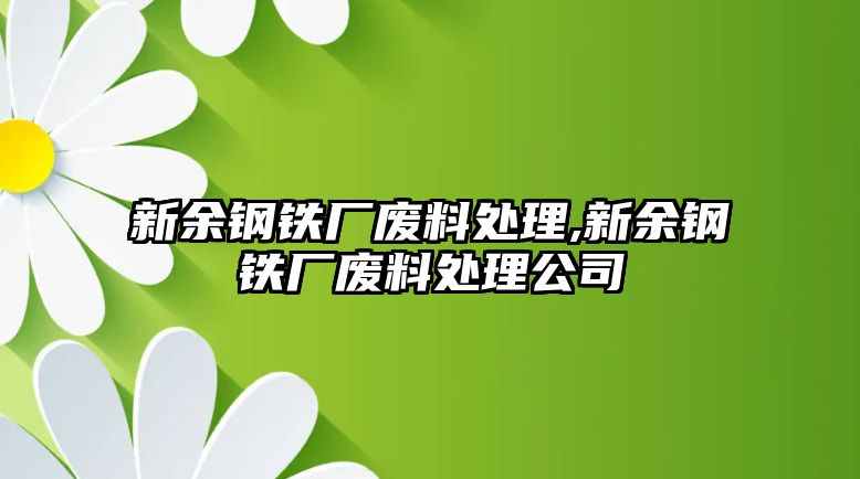 新余鋼鐵廠廢料處理,新余鋼鐵廠廢料處理公司