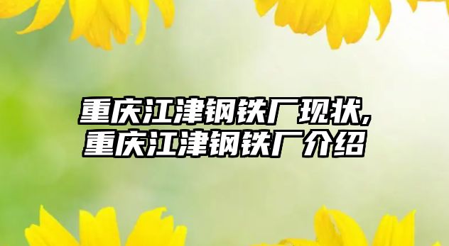 重慶江津鋼鐵廠現(xiàn)狀,重慶江津鋼鐵廠介紹