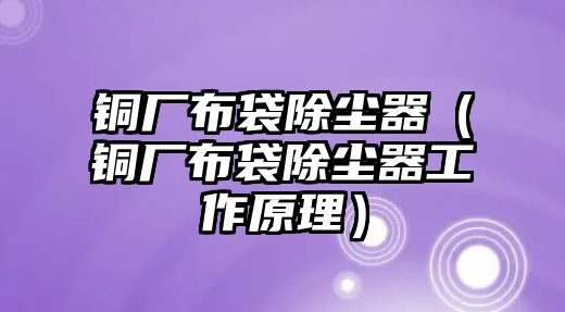 銅廠布袋除塵器（銅廠布袋除塵器工作原理）