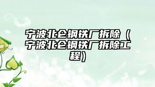 寧波北侖鋼鐵廠拆除（寧波北侖鋼鐵廠拆除工程）