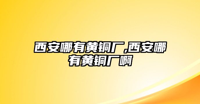 西安哪有黃銅廠,西安哪有黃銅廠啊