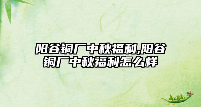 陽谷銅廠中秋福利,陽谷銅廠中秋福利怎么樣