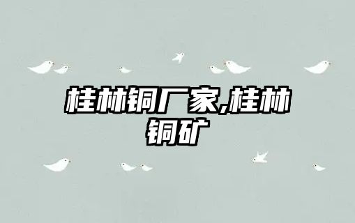 桂林銅廠家,桂林銅礦