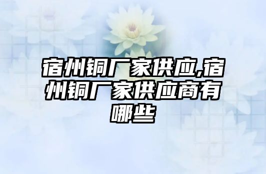 宿州銅廠家供應,宿州銅廠家供應商有哪些