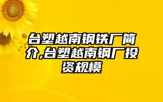 臺(tái)塑越南鋼鐵廠簡(jiǎn)介,臺(tái)塑越南鋼廠投資規(guī)模