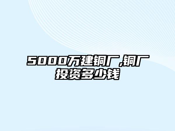 5000萬建銅廠,銅廠投資多少錢