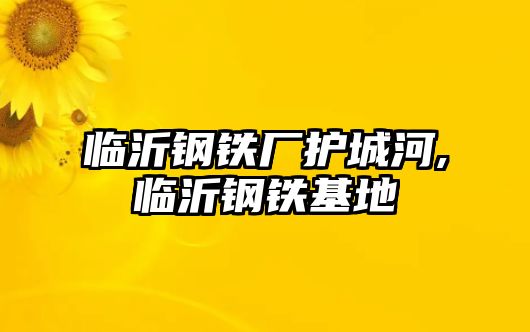 臨沂鋼鐵廠護(hù)城河,臨沂鋼鐵基地