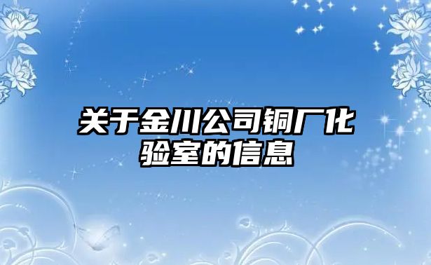 關(guān)于金川公司銅廠化驗(yàn)室的信息