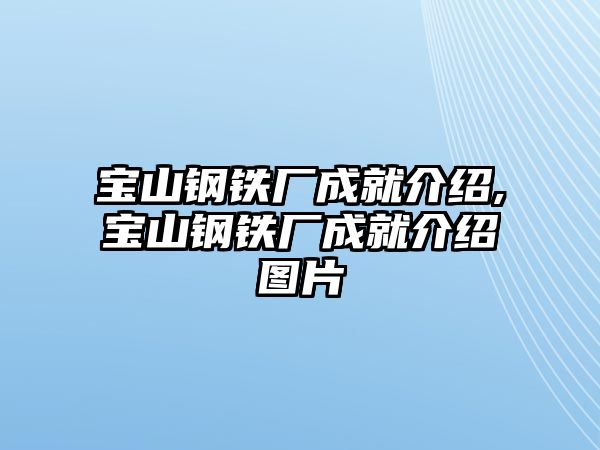 寶山鋼鐵廠成就介紹,寶山鋼鐵廠成就介紹圖片