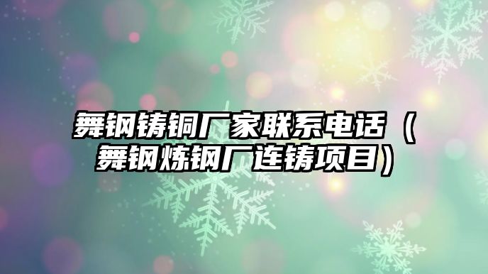 舞鋼鑄銅廠家聯(lián)系電話（舞鋼煉鋼廠連鑄項目）