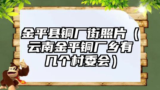 金平縣銅廠街照片（云南金平銅廠鄉(xiāng)有幾個(gè)村委會(huì)）