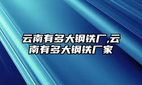 云南有多大鋼鐵廠,云南有多大鋼鐵廠家