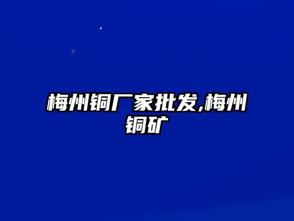 梅州銅廠家批發(fā),梅州銅礦