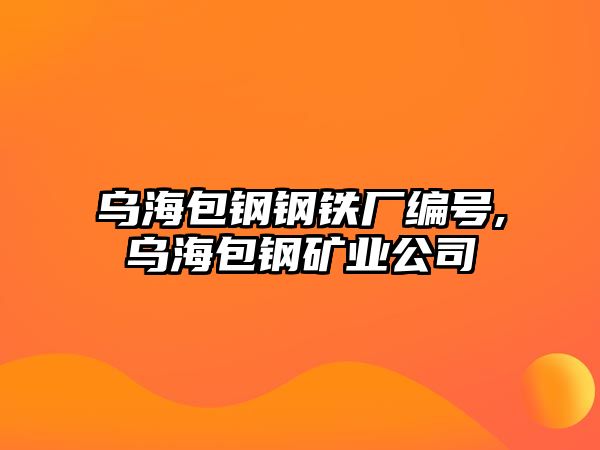 烏海包鋼鋼鐵廠編號,烏海包鋼礦業(yè)公司