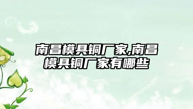 南昌模具銅廠家,南昌模具銅廠家有哪些