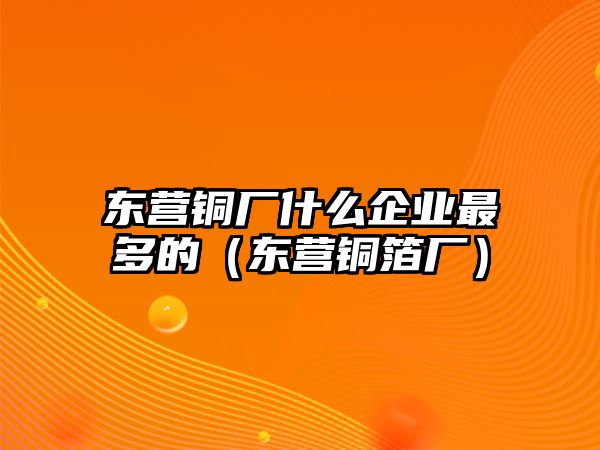 東營(yíng)銅廠什么企業(yè)最多的（東營(yíng)銅箔廠）