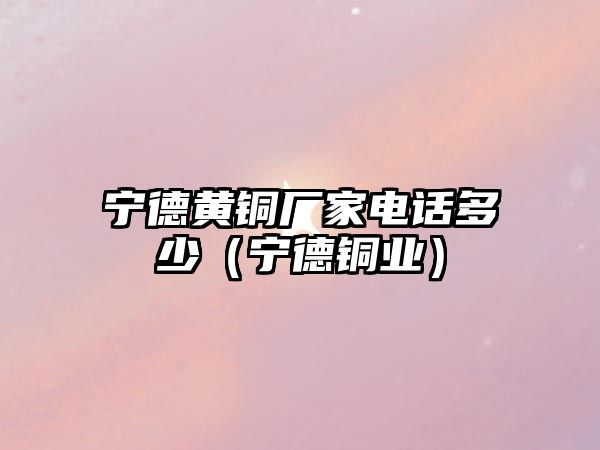 寧德黃銅廠家電話多少（寧德銅業(yè)）