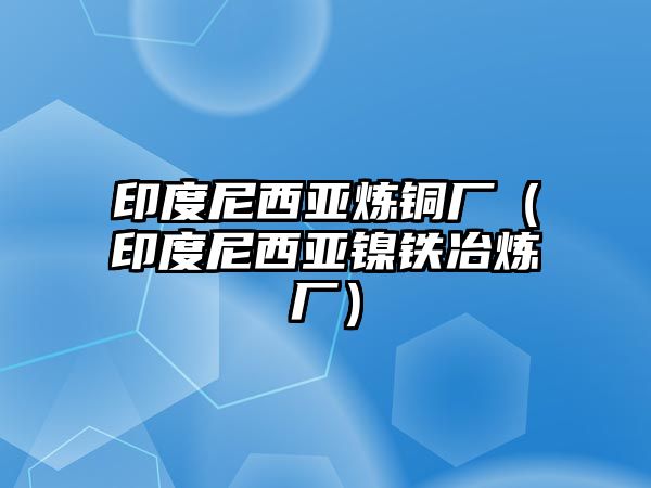 印度尼西亞煉銅廠（印度尼西亞鎳鐵冶煉廠）