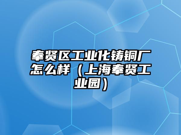 奉賢區(qū)工業(yè)化鑄銅廠怎么樣（上海奉賢工業(yè)園）