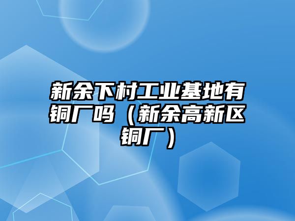 新余下村工業(yè)基地有銅廠嗎（新余高新區(qū)銅廠）