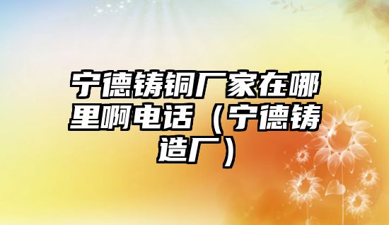 寧德鑄銅廠家在哪里啊電話（寧德鑄造廠）