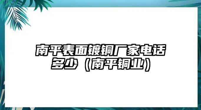 南平表面鍍銅廠家電話多少（南平銅業(yè)）