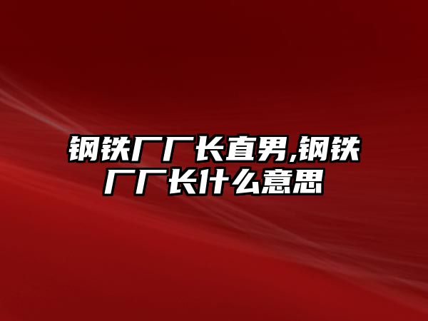 鋼鐵廠廠長直男,鋼鐵廠廠長什么意思