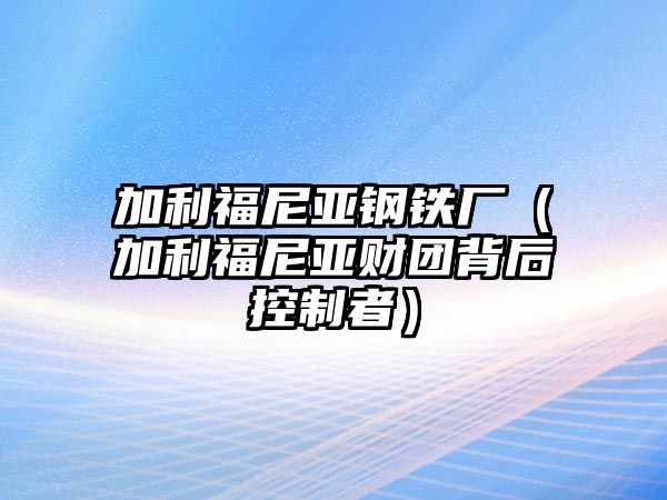 加利福尼亞鋼鐵廠（加利福尼亞財(cái)團(tuán)背后控制者）