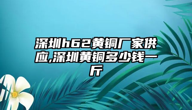 深圳h62黃銅廠家供應(yīng),深圳黃銅多少錢(qián)一斤