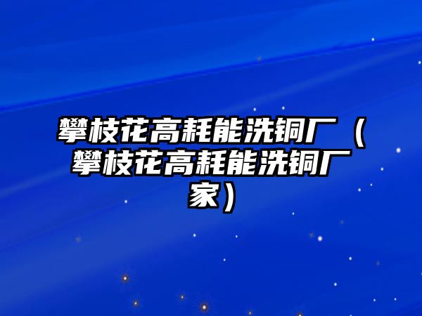 攀枝花高耗能洗銅廠（攀枝花高耗能洗銅廠家）