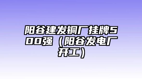 陽谷建發(fā)銅廠掛牌500強（陽谷發(fā)電廠開工）