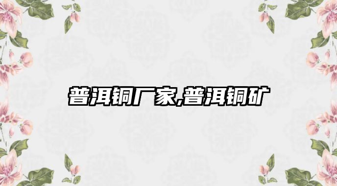 普洱銅廠家,普洱銅礦