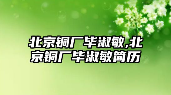 北京銅廠畢淑敏,北京銅廠畢淑敏簡歷