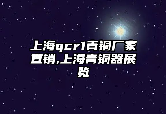 上海qcr1青銅廠家直銷,上海青銅器展覽